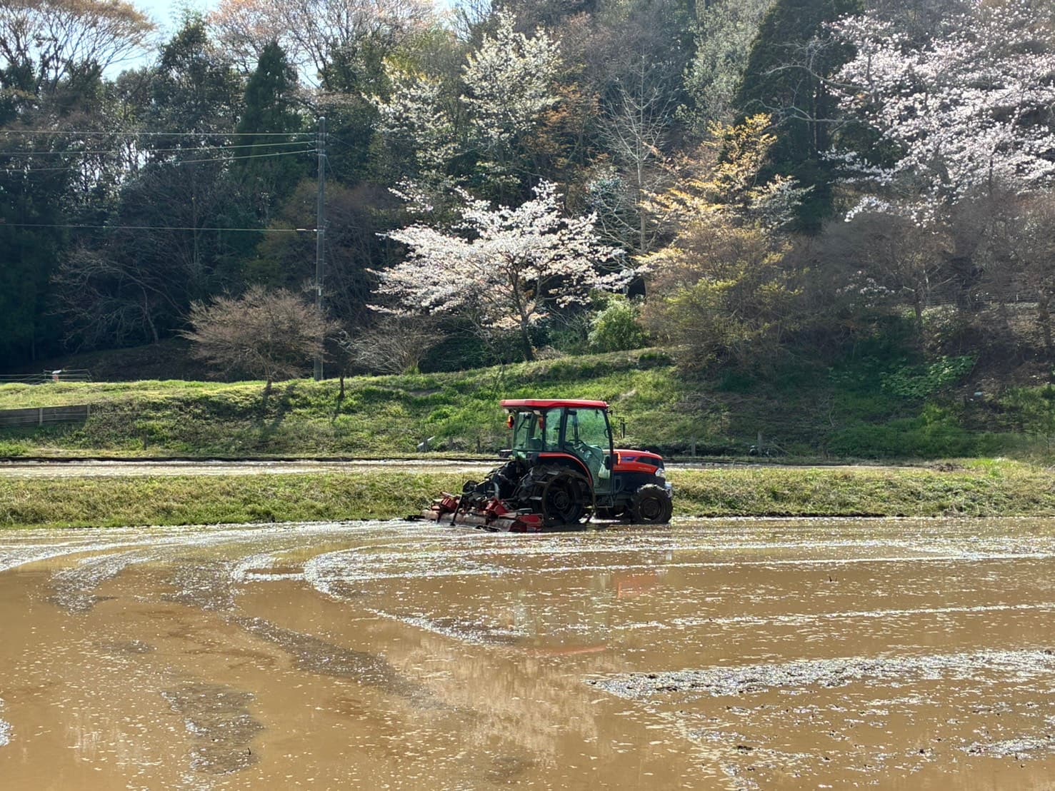 ヒーロー背景