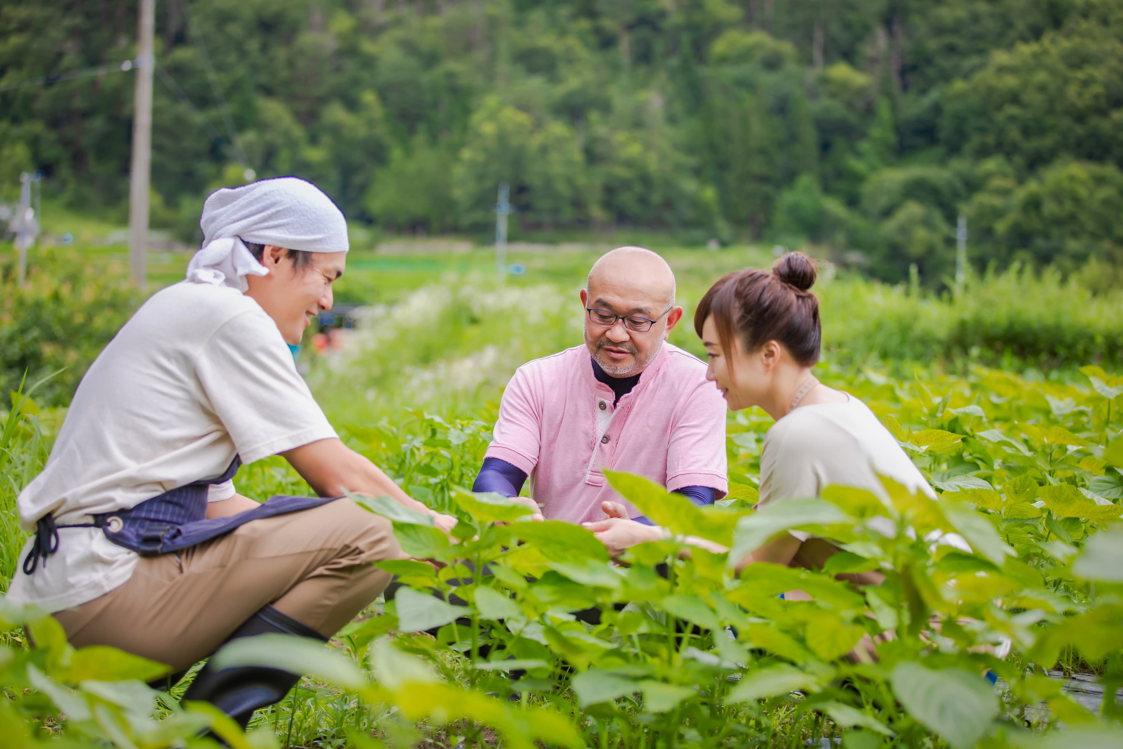 農地開拓チーム